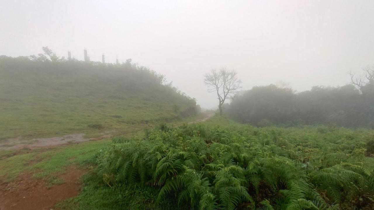 StoneAge Resort Ballupet Sakleshpur Esterno foto